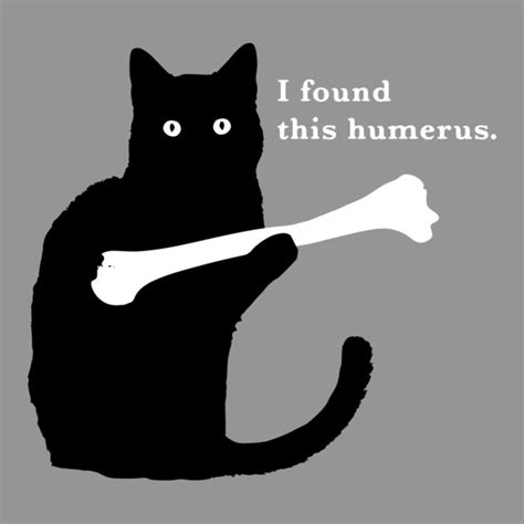 i found this humerus cat t shirt