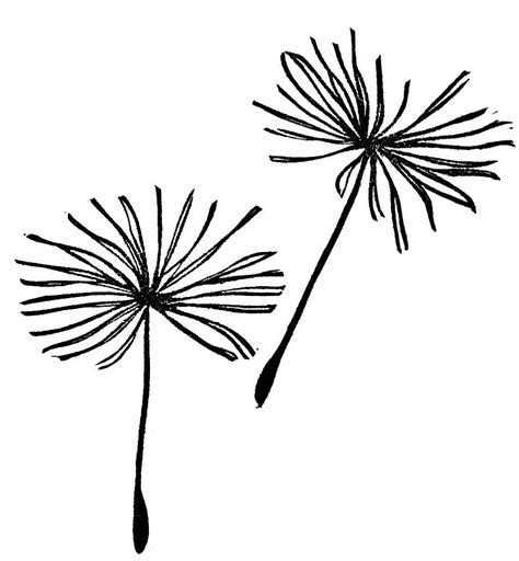 dandelion dandelion tattoo black  white drawing