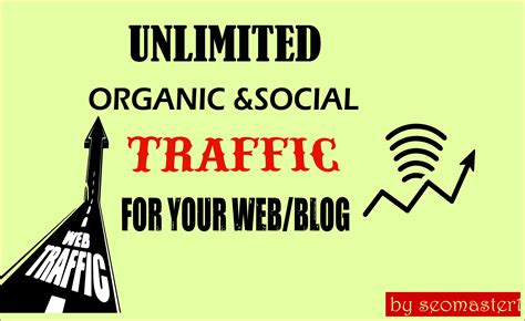 unlimited organic social website traffic   year   seoclerks