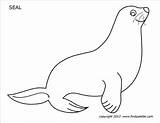 Seal Printable Coloring Pages Templates Animal Firstpalette Kids Print Winter Animals Summer Pre Colored sketch template