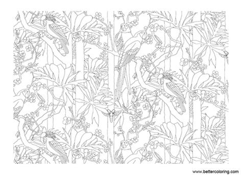 jungle coloring pages birds  printable coloring pages