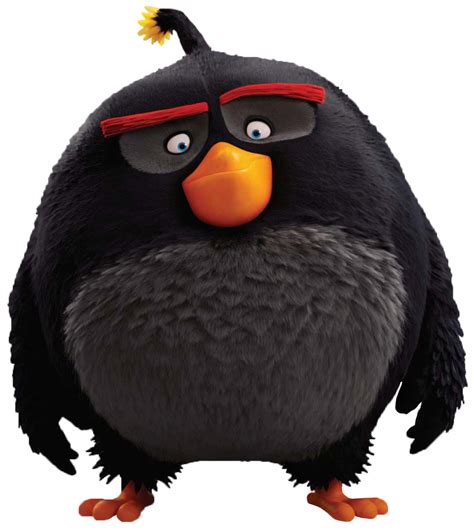 angry birds bomb png png image collection