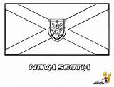 Scotia Nova Designlooter sketch template