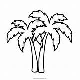Palmera Palm Ultracoloringpages sketch template