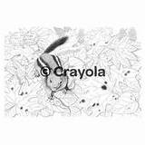 Coloring Escapes Color Pages Crayola Pencil Amazon Kit Adult Garden Suitable Framing Premium sketch template
