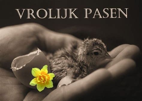 Pin Van Creakiki Heavenly Op Pasen Pasen Feestdagen