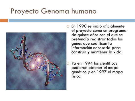Ppt Proyecto Genoma Humano Powerpoint Presentation Free Download