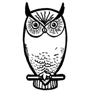 draw owls  step  step drawing lesson   draw step