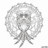 Mandala Coloring Owl Incredible Mandalas Pages sketch template
