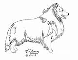 Sheltie Coloring Pages Color Getcolorings Print sketch template