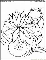 Coloring Pages Lily Frogs Printable Monet Kids Water Color Flowers Pad Claude Print Lilies Outline Children Pads Flower Clipart Drawing sketch template