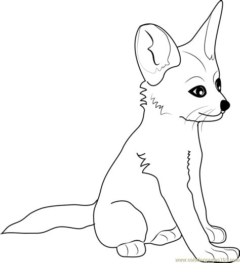baby fox coloring pages coloring home