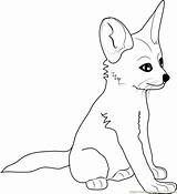 Coloringhome Fennec Stuck Somewhere Helpful Guidance Especially sketch template
