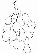 Grape Coloring Pages Coloringway sketch template