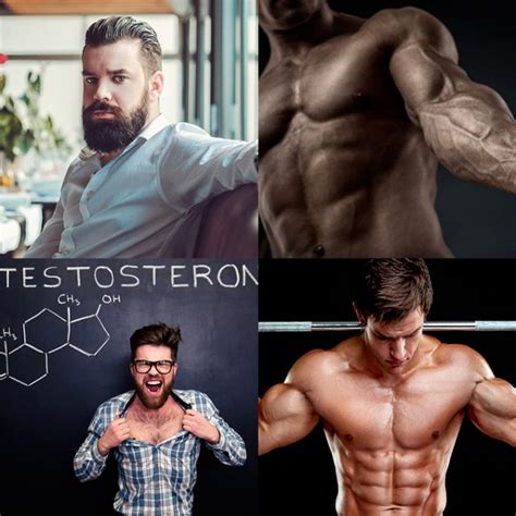 30 alimentos que aumentan tu testosterona la guía de las vitaminas
