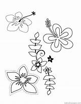 Coloring Pages Flower Tropical Hawaiian Plumeria Flowers Hawaii Printable Luau Print Choose Themed Popular Colouring Drawing Color Getcolorings Board Comments sketch template
