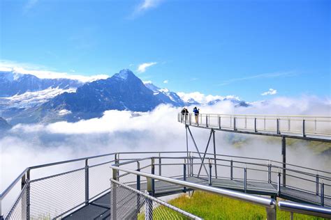 grindelwald switzerland  crazy tourist