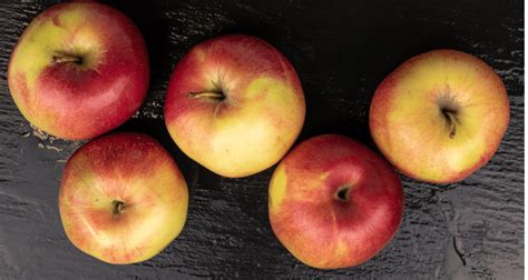 21 Apple Varieties To Sink Your Teeth Into This Fall Farmers Almanac