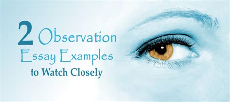 observation essay examples   closely kibin blog