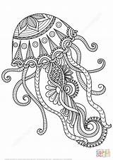 Jellyfish Coloring Pages Adults Zentangle Top sketch template