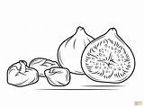 Coloring Figs Pages Dry Fig Fresh Drawing Printable sketch template