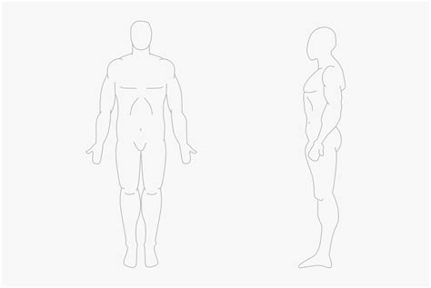 human body front  side anatomical position front  side hd png