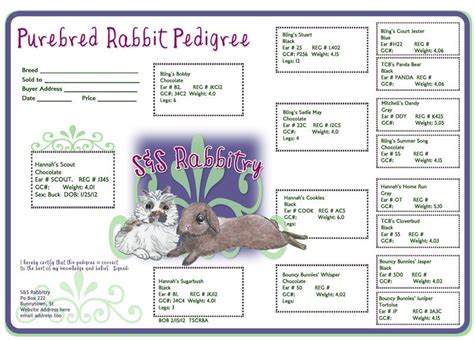 printable rabbit pedigree forms kawevqdia