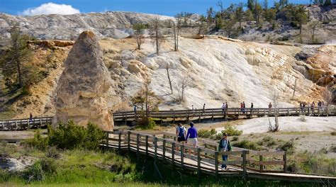 mammoth hot springs yellowstone national park attraction au