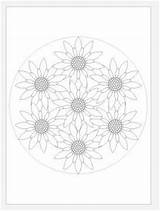 Coloring Pages Mandala Flower Adult Book Printable Favecrafts Aesthetic Room sketch template