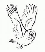 Coloring Owl Pages Flying Colouring Printable Kids Color Realistic Popular Birds Coloringhome sketch template