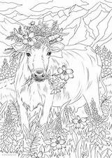 Cow Flowers Coloring Pages Adult Adults Printable Favoreads Flower Book Colouring Sheets Spring Drawing Animal Club Horse Sold Etsy Disney sketch template