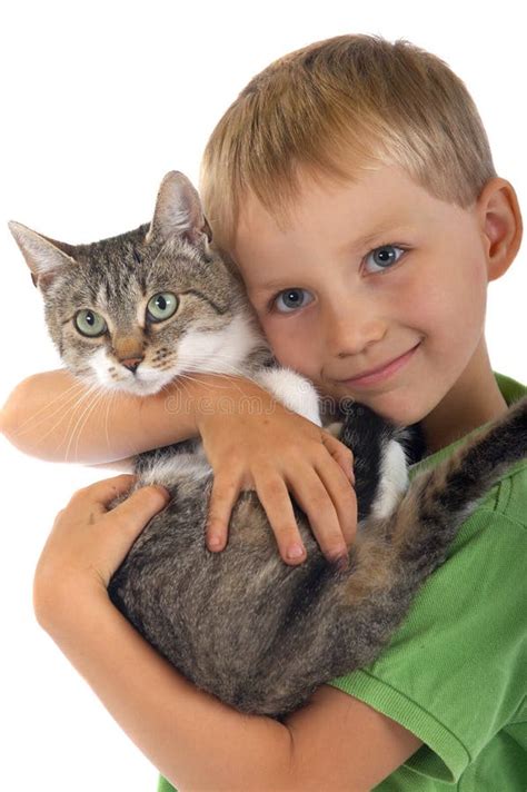 young boy  cat stock photo image  kitty children