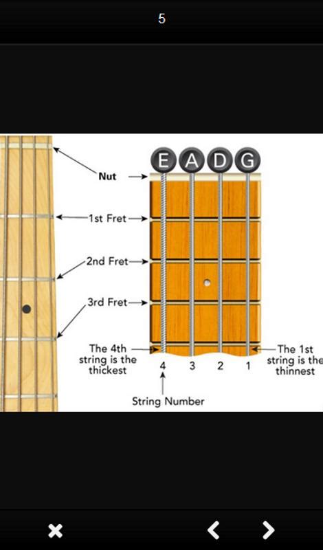 Bass Guitar Chords For Android Apk Download