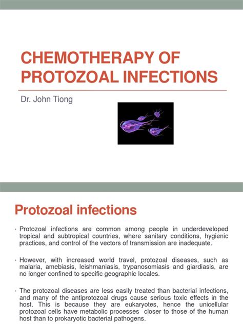 Chemotherapy For Protozoal Infections Pdf Medical Specialties