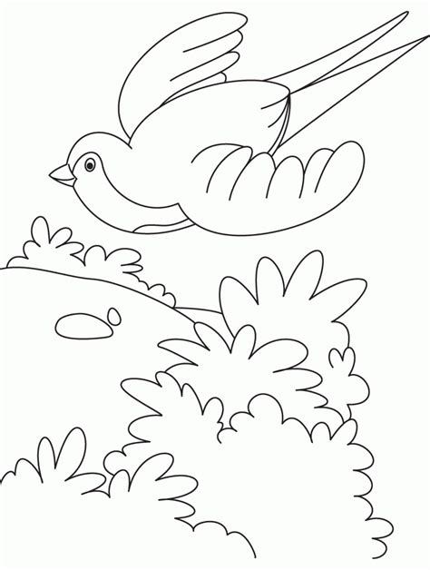 birds  sky coloring pages coloring home