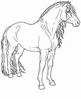 Cheval Paso Imprimer Horses Dessins Template Harpg Difficile sketch template