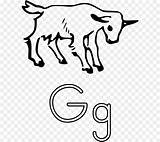 Goat Pygmy Drawing Getdrawings sketch template