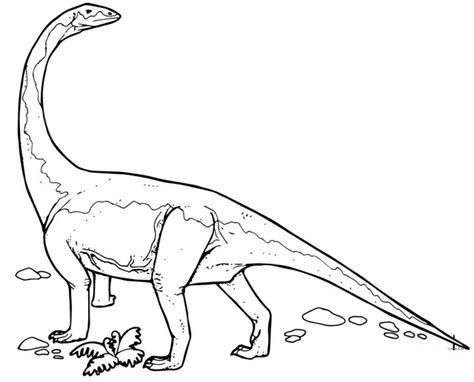 awesome diplodocus coloring pages  kids coloring pages