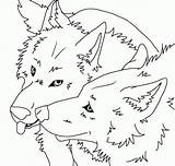Lineart Wolfblood Coloringhome Develop Coloringfolder sketch template