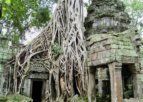 touring  ancient angkor wat temples  cambodia