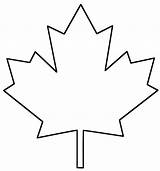Maple Leaf Printable Template Outline Canada Leaves Bigactivities Coloring Stencil sketch template