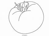 Tomato Coloring Sheet Coloringpage Reddit Email Twitter Eu sketch template
