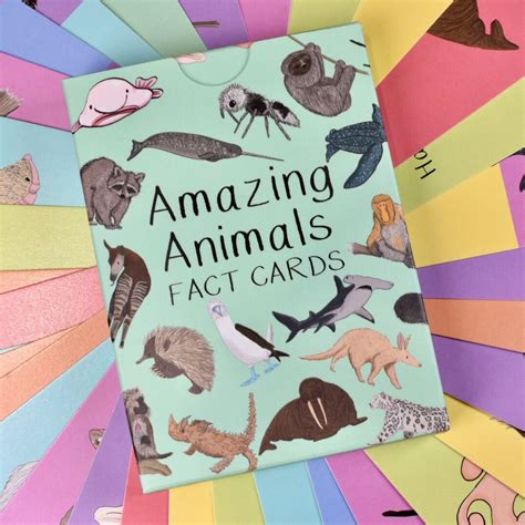 amazing animal fact cards fascinating animal facts unusual animals