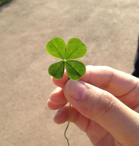 awesome  leaf clover images check   httpszdwebhostingcom