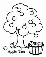 Orchard Apples Preschool Popular Coloringpagesfortoddlers sketch template