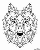 Wolf Head Coloring Simple Wolves Patterns Big Pages Adult sketch template