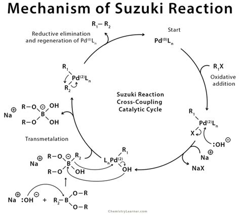 suzuki reaction definition  mechanism application