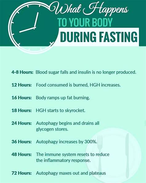 intermittent fasting  complete guide