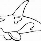 Orcas Compartan Pretende Disfrute sketch template