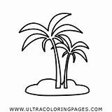 Palme Ausmalbilder Colorir Palmeira Stampare Ultracoloringpages sketch template
